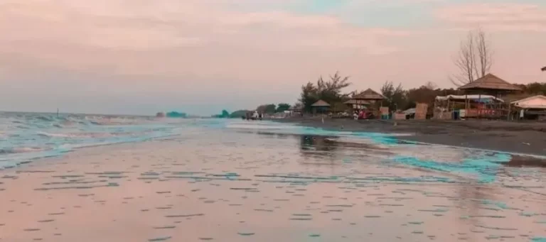 Pantai Sedari Karawang, Menikmati Panorama Sunset Sembari Kulineran